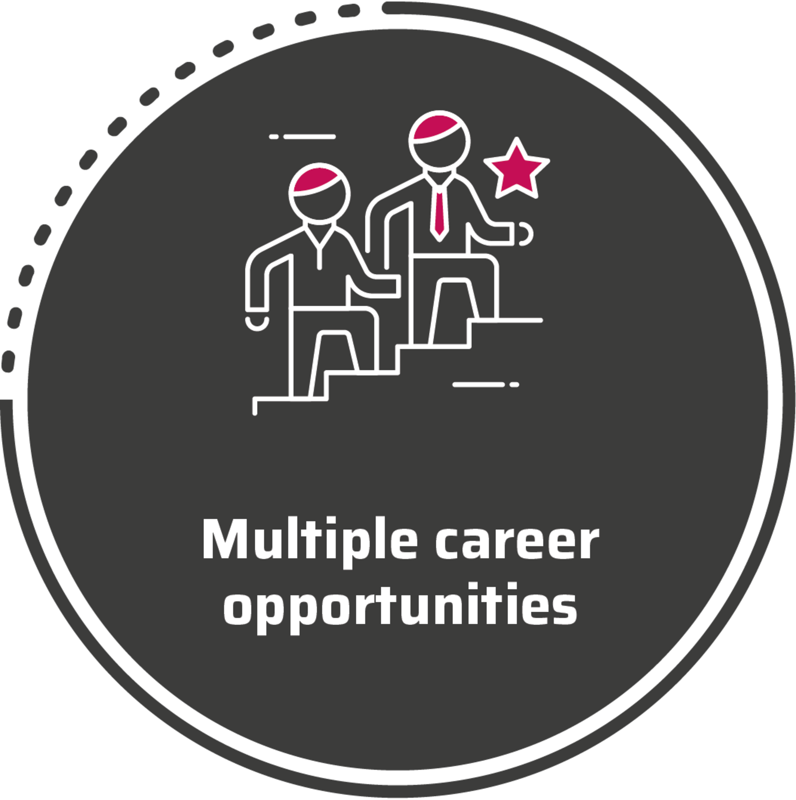 Schwarz_Multiple_career_opportunities.png